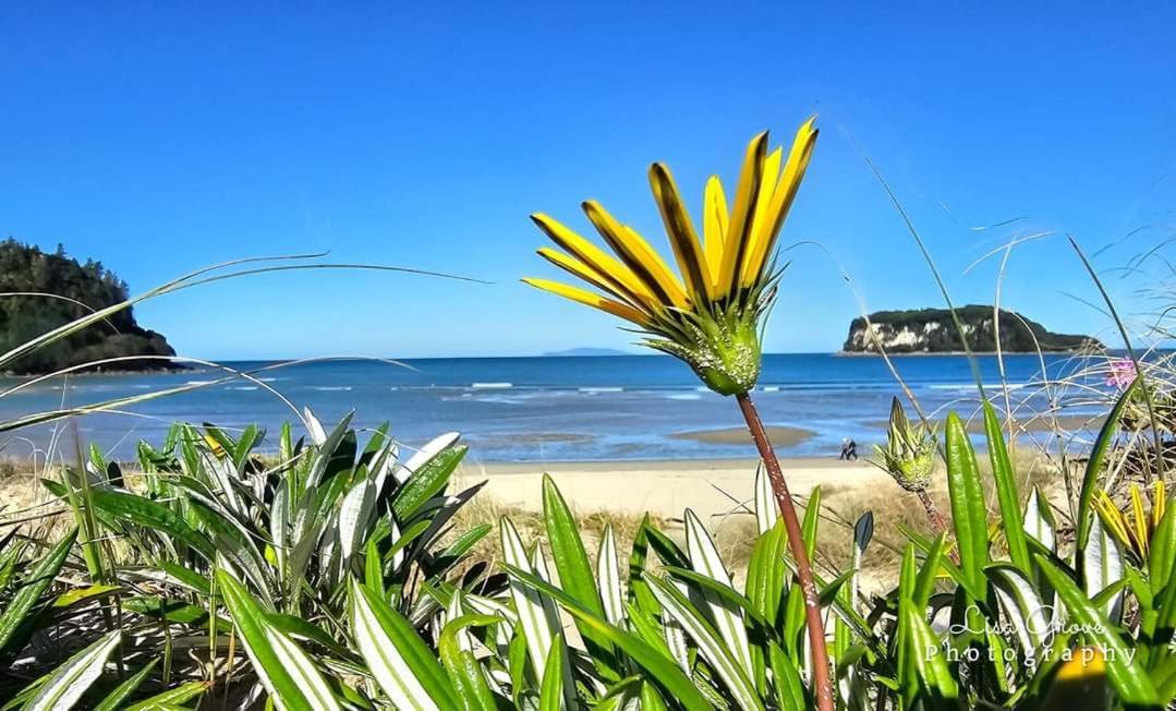 Southpacific Motel Whangamata Exteriér fotografie